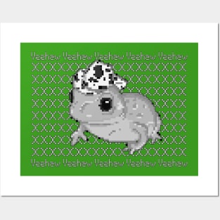 Yeehaw Frog Sweater Posters and Art